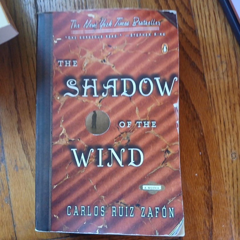 The Shadow of the Wind