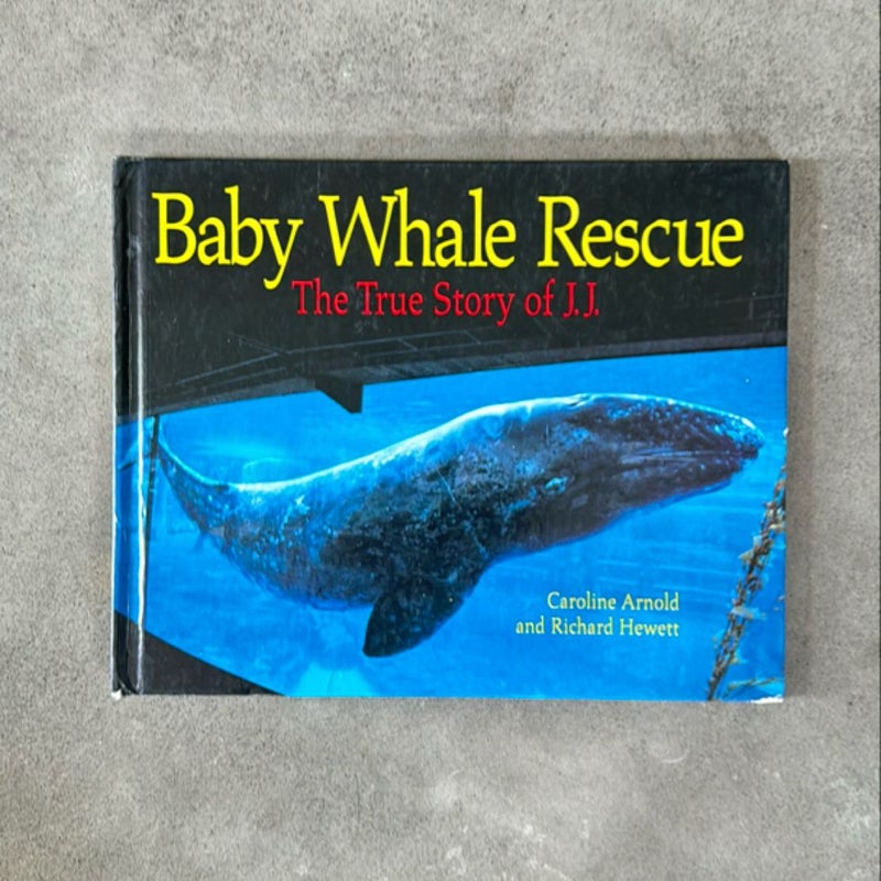 Baby Whale Rescue