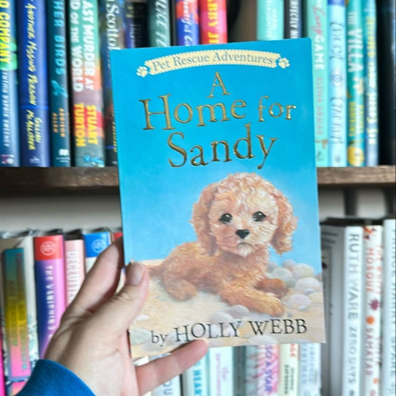 A Home for Sandy