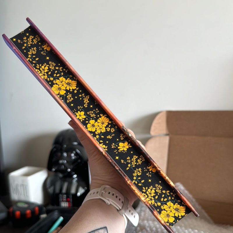 The Unmaking of June Farrow Fairyloot Edition