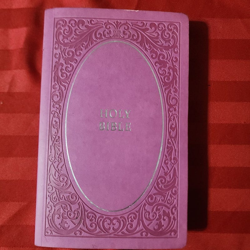 NIV Holy Bible Soft Touch Edition [Pink]
