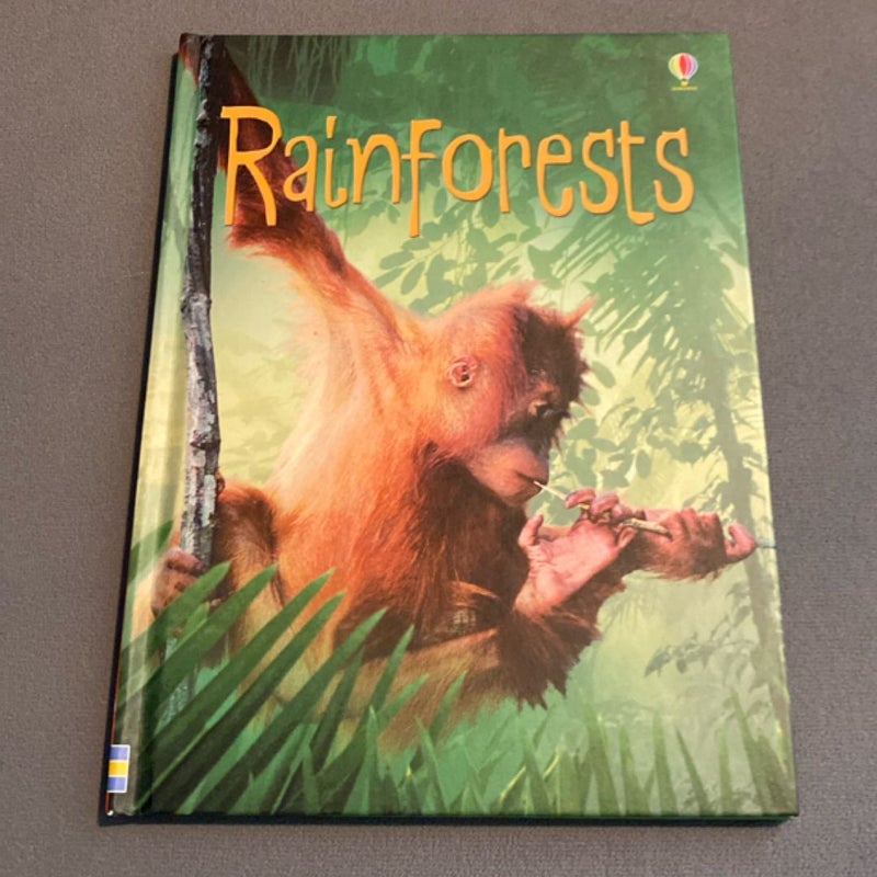 Rainforest (Level 2) - Internet Referenced