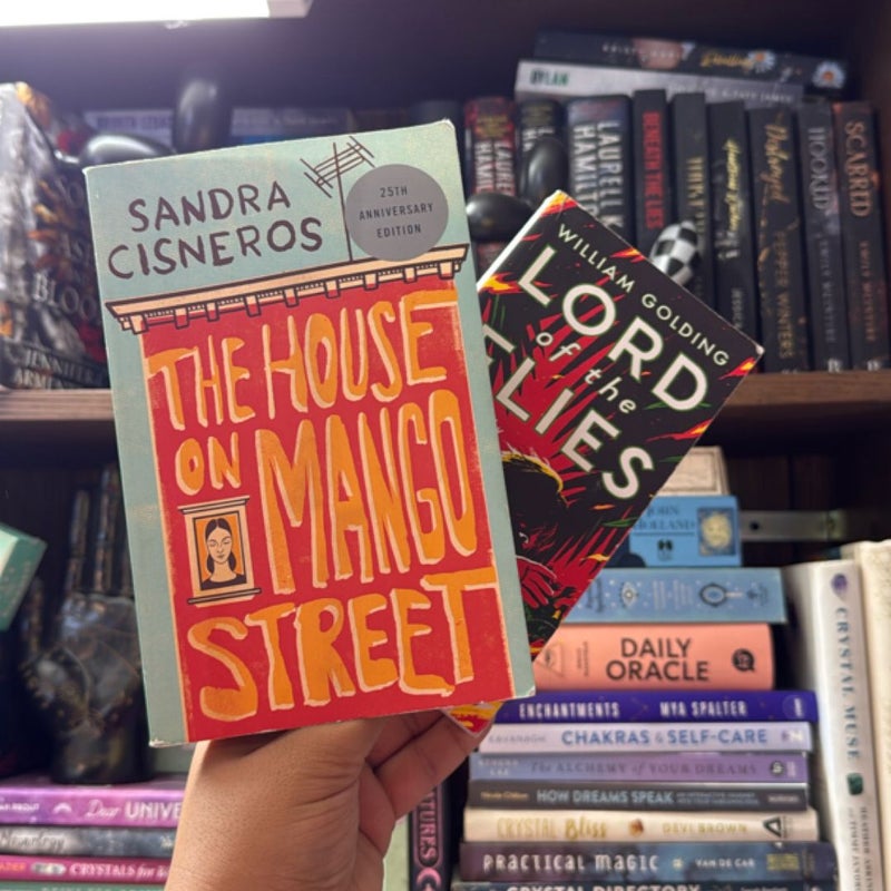 The House on Mango Street & Lord of the Flies (banned books)