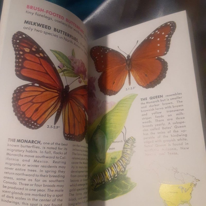 Butterflies and Moths , A Golden Guide