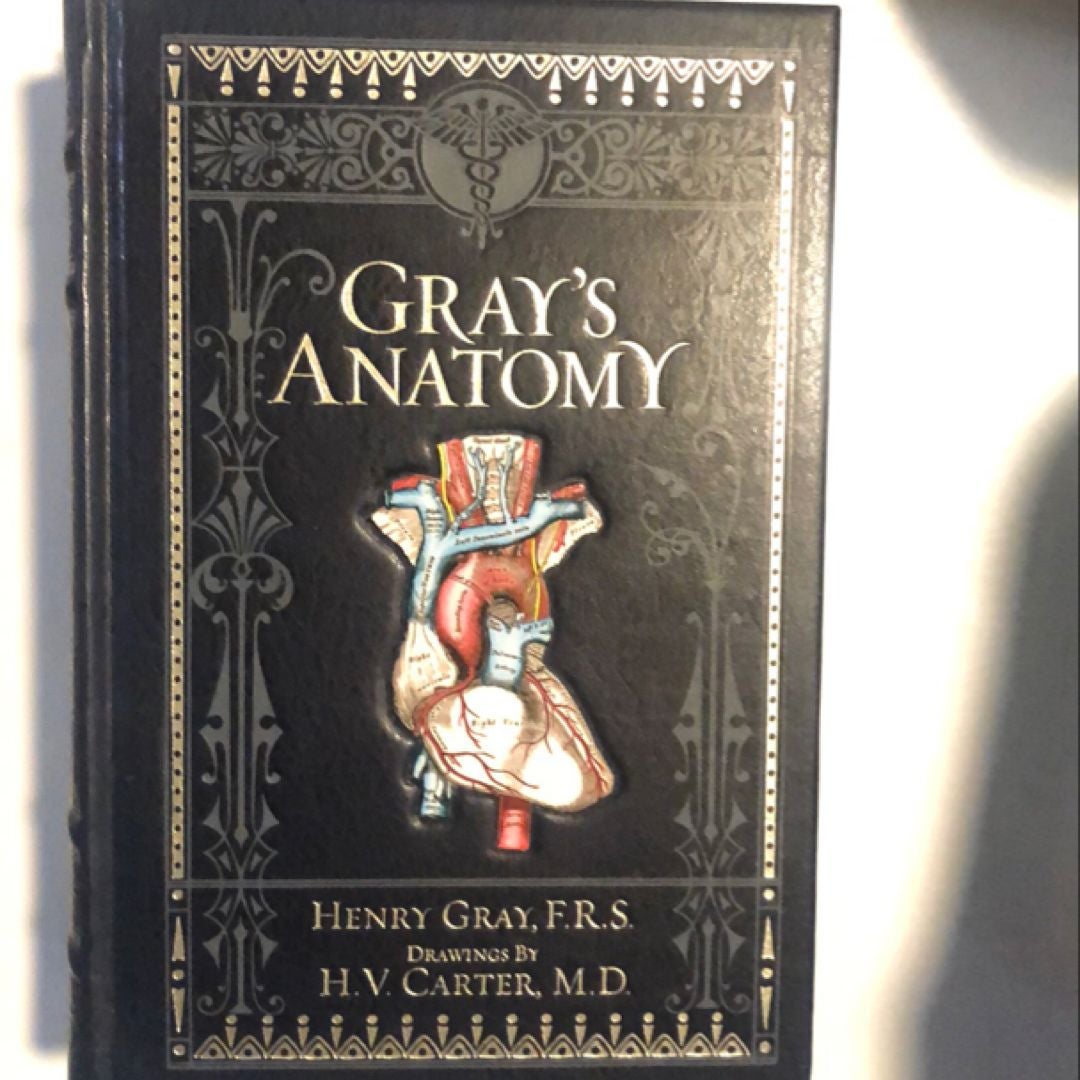 Gray's Anatomy (Barnes and Noble Collectible Classics: Omnibus Edition)