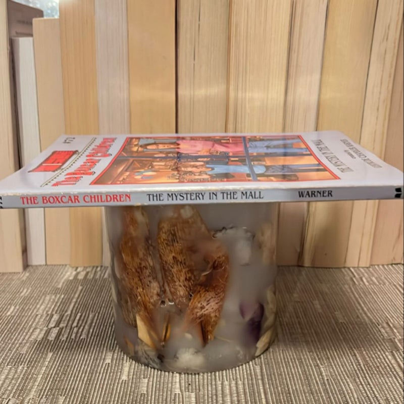 The Mystery in the Mall
