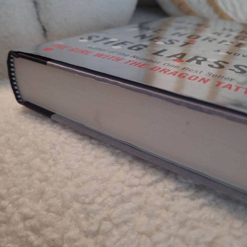 The Girl Who Kicked the Hornet's Nest