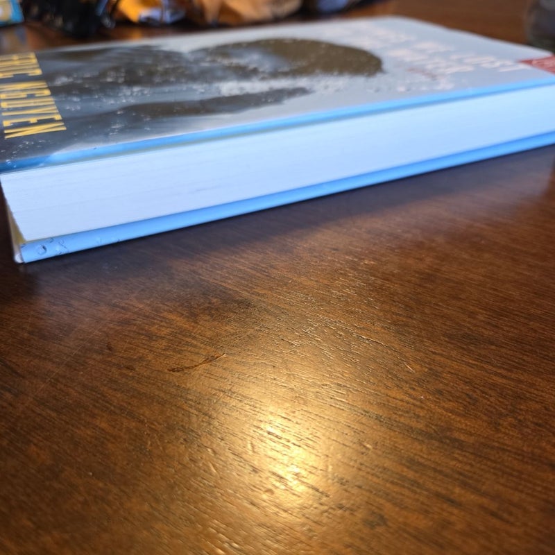 Things We Lost to the Water