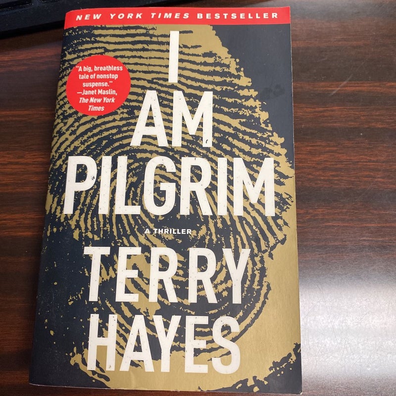 I Am Pilgrim