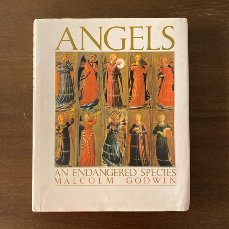 Angels An Endangered Species & Anne Neilson’s Angels Hardback Book Bundle