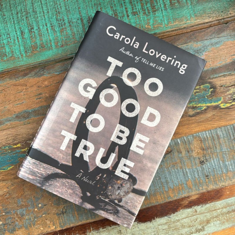 Too Good to Be True + Can’t Look Away BUNDLE