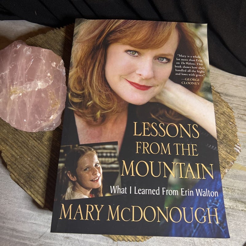 Lessons from the Mountain