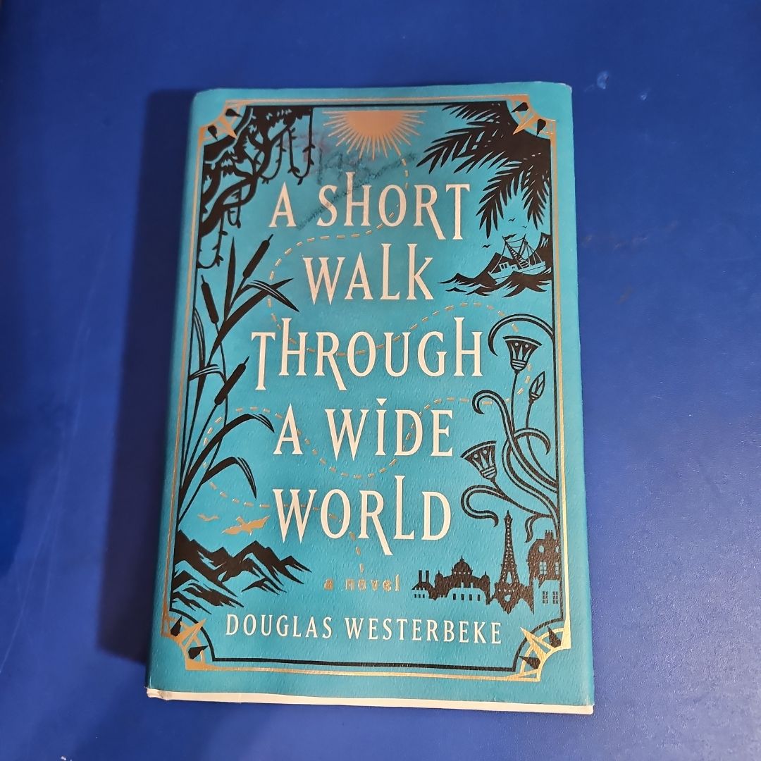 A Short Walk Through a Wide World