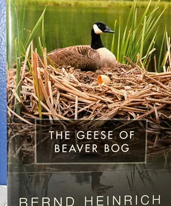 The Geese of Beaver Bog