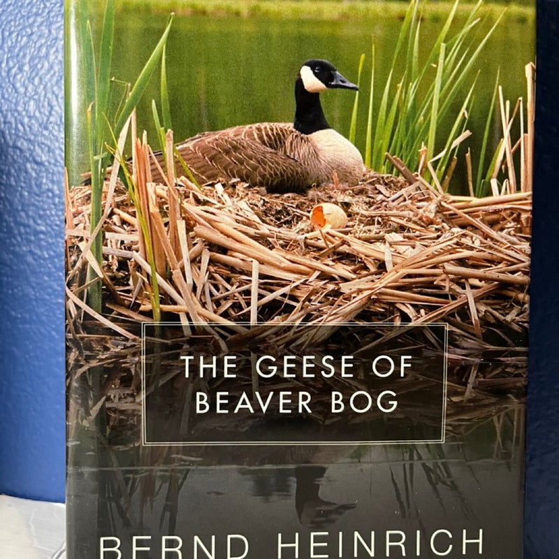 The Geese of Beaver Bog