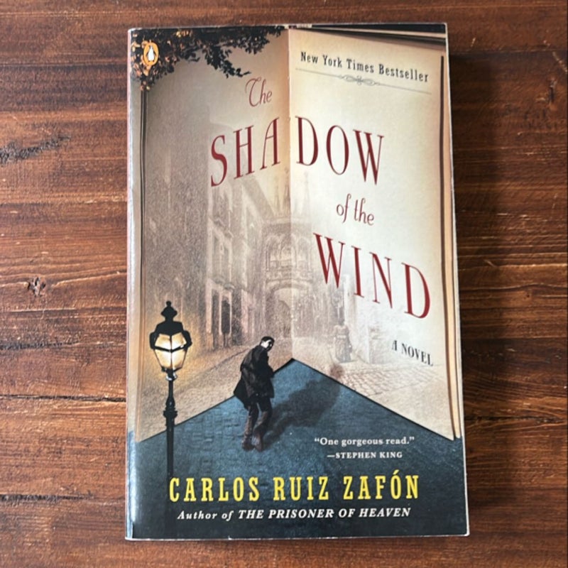 The Shadow of the Wind