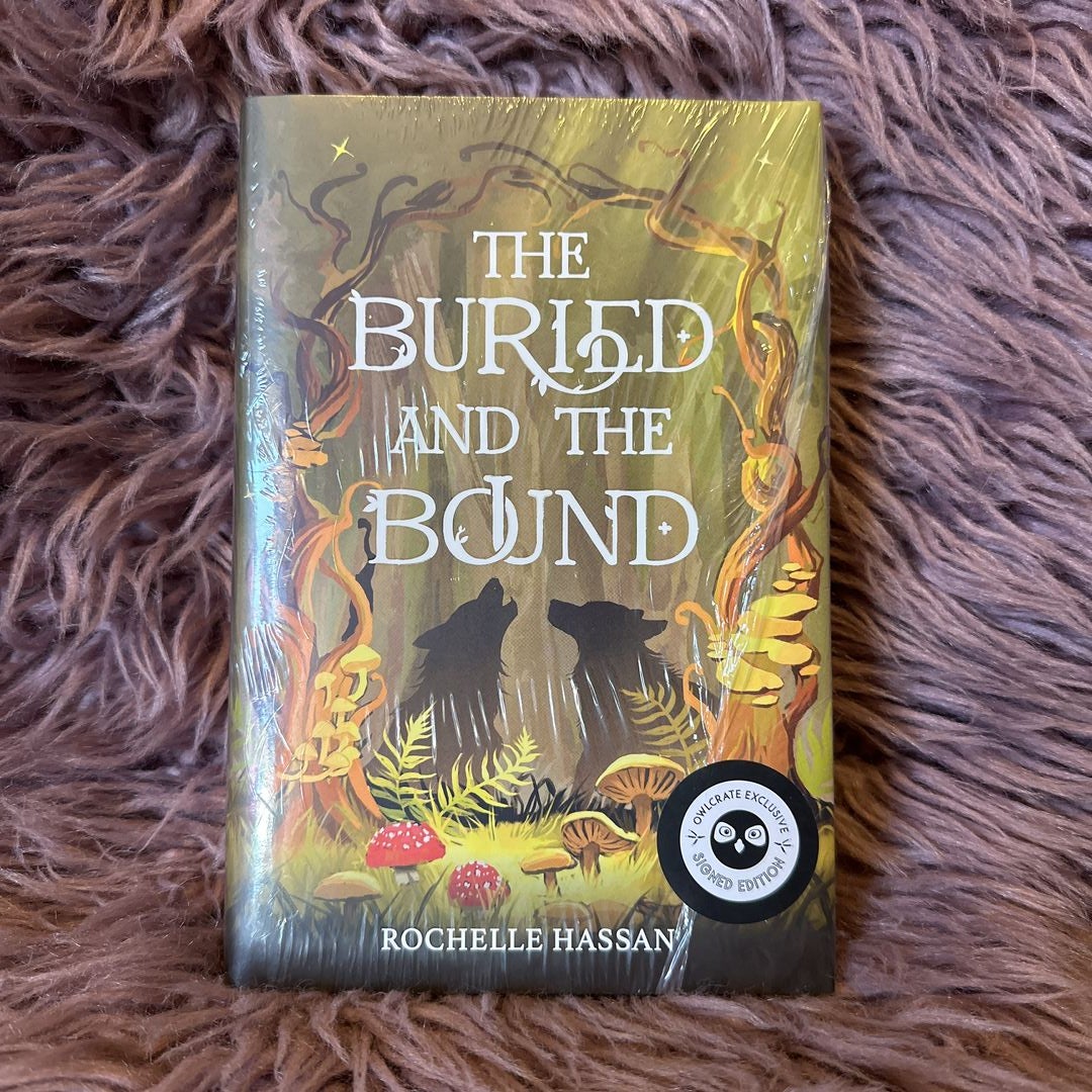 The Buried and the Bound by Rochelle Hassan