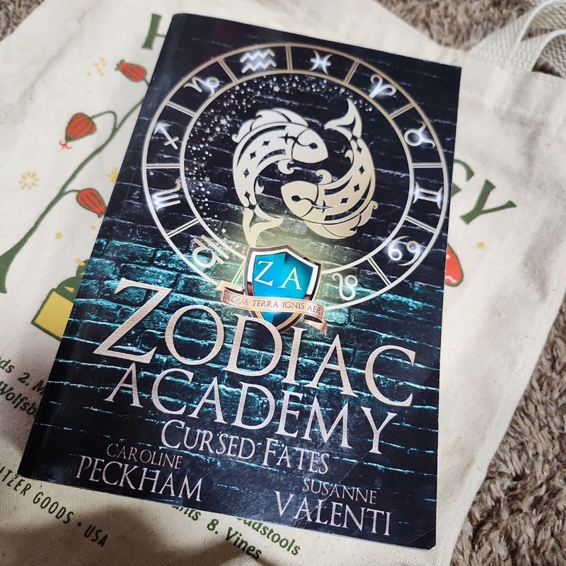Zodiac Academy 5