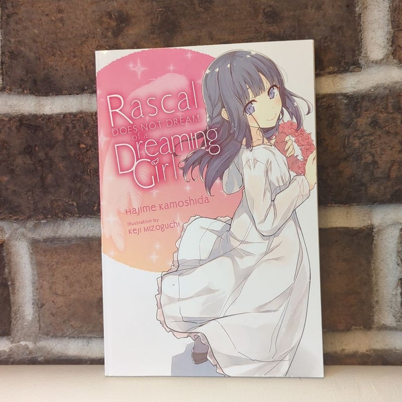 Rascal Does Not Dream of a Dreaming Girl (light Novel)