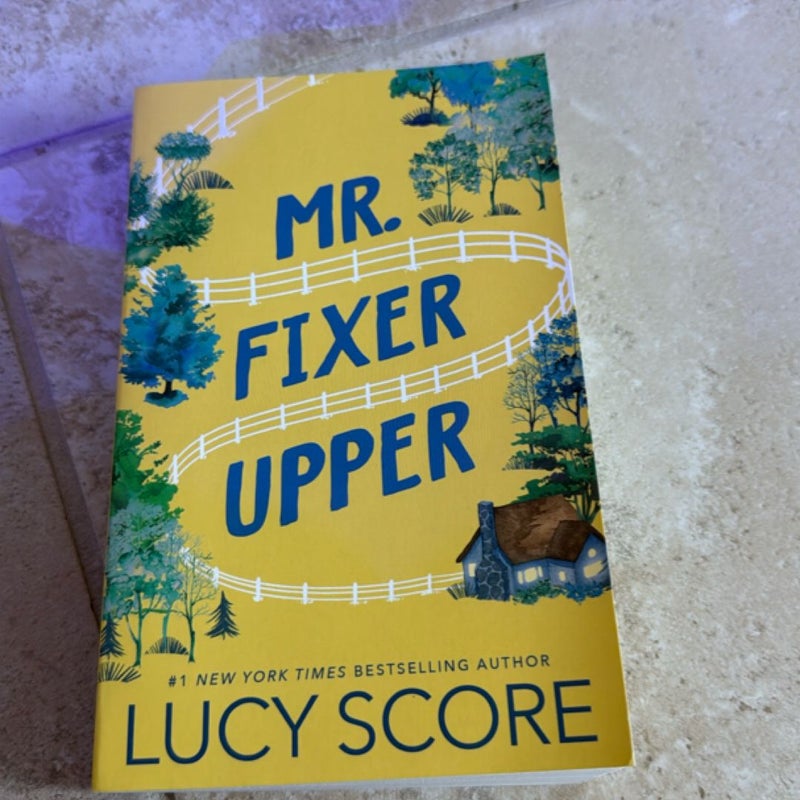 Mr. Fixer Upper