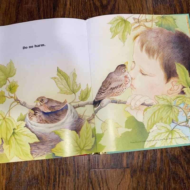 Everything I Need to Know I Learned from a Little Golden Book