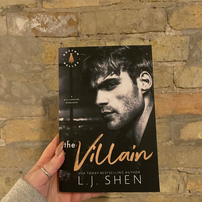 The Villain: a Billionaire Romance