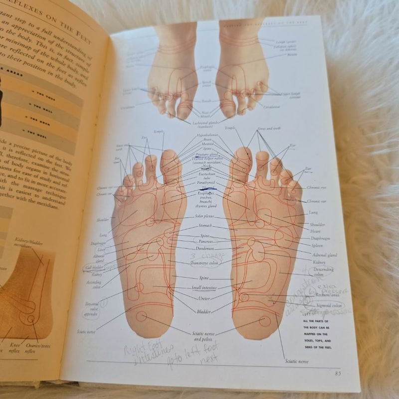 The complete illustrated guide to Reflexology