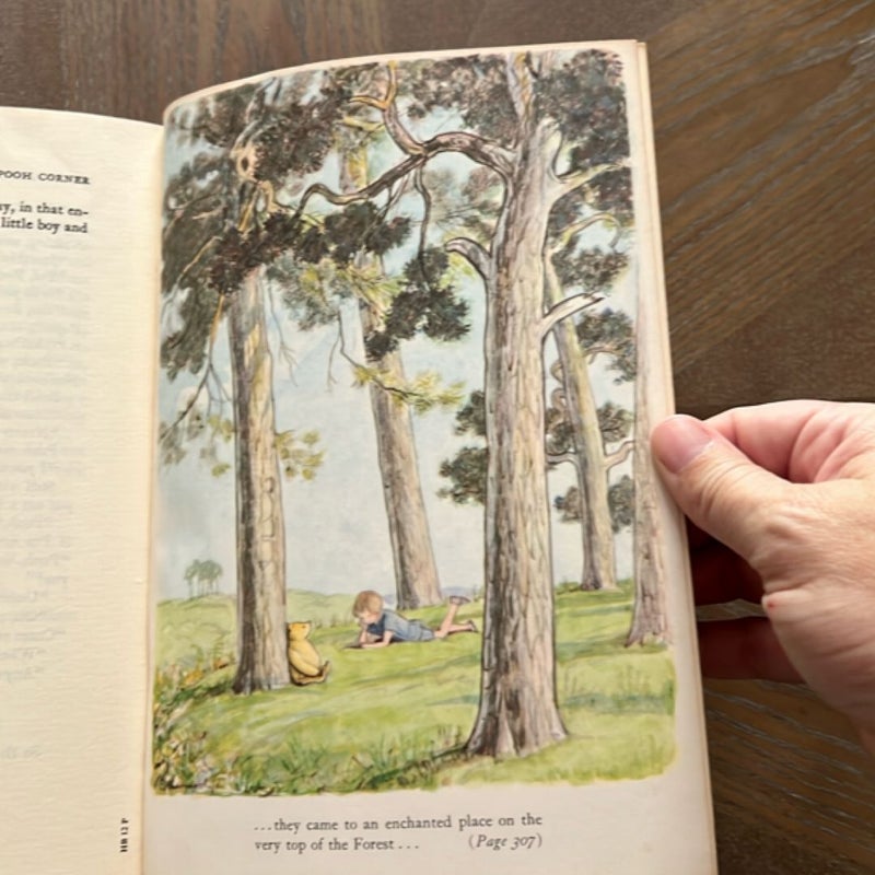 The World of Pooh