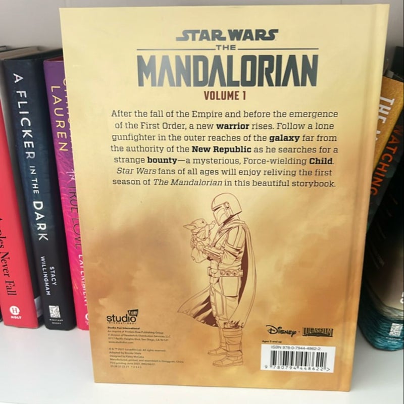 Star Wars- The Mandalorian Volume 1