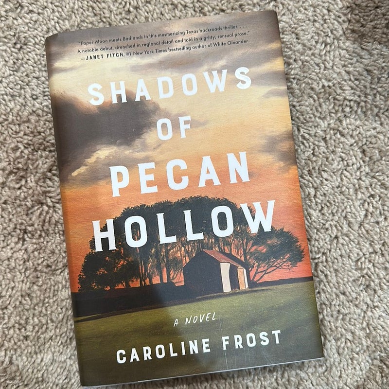 Shadows of Pecan Hollow