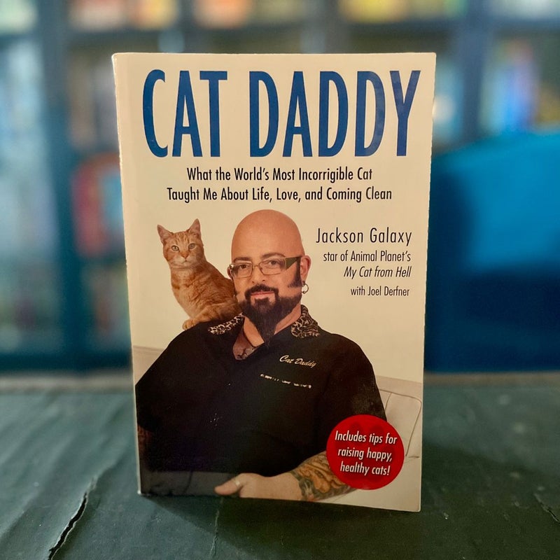 Cat Daddy