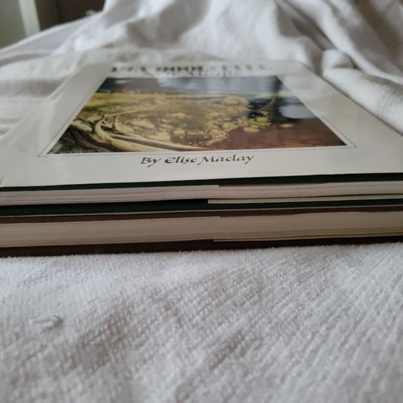 The Art of Bev Doolittle and New Magic
