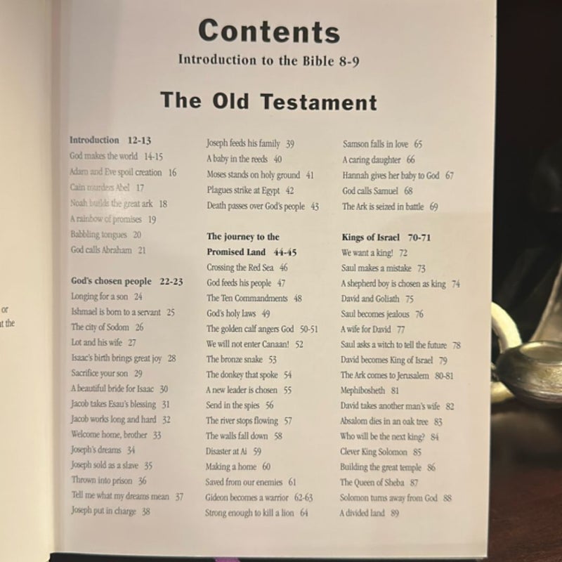 Illustrated Family Bible Stories