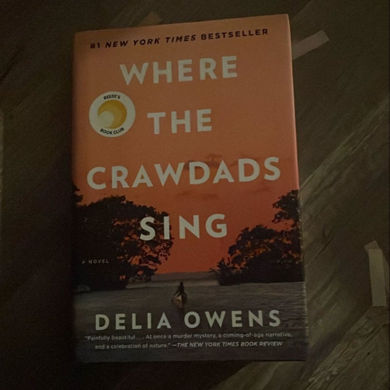 Where the Crawdads Sing