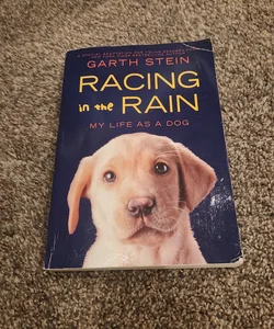 Racing in the Rain: My life as a dog