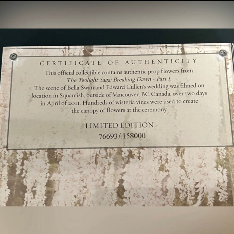 The Twilight Saga Official Collectible- Authentic Prop Flower-LIMITED EDITION