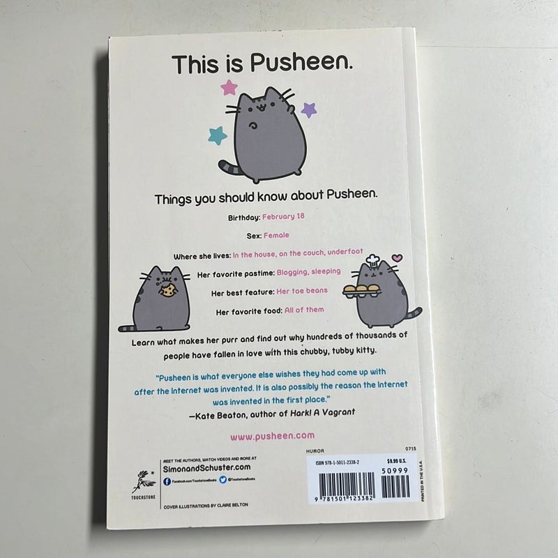 Pusheen Poster Book by Claire Belton