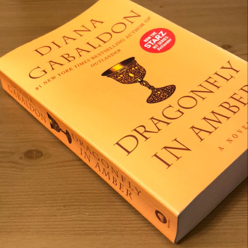 Dragonfly in Amber