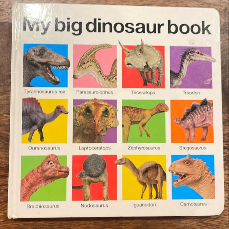 My Big Dinosaur Book