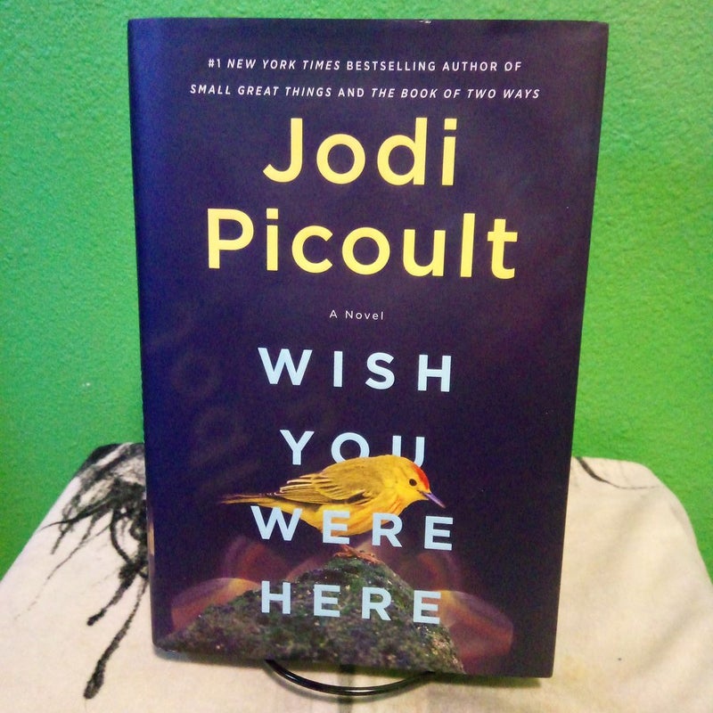 First Edition - Wish You Were Here