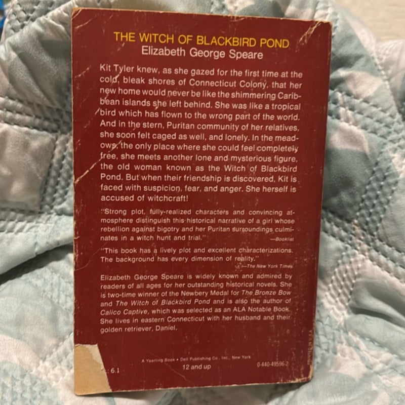 The Witch of Blackbird Pond
