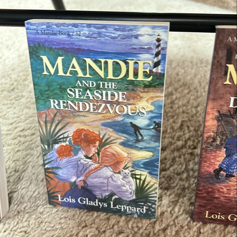 Mandie and the Seaside Rendezvous