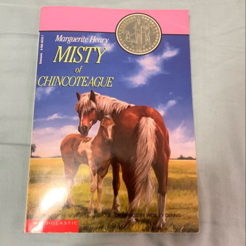 Misty of Chincoteague