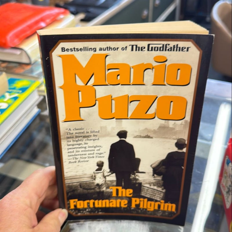 The Fortunate Pilgrim