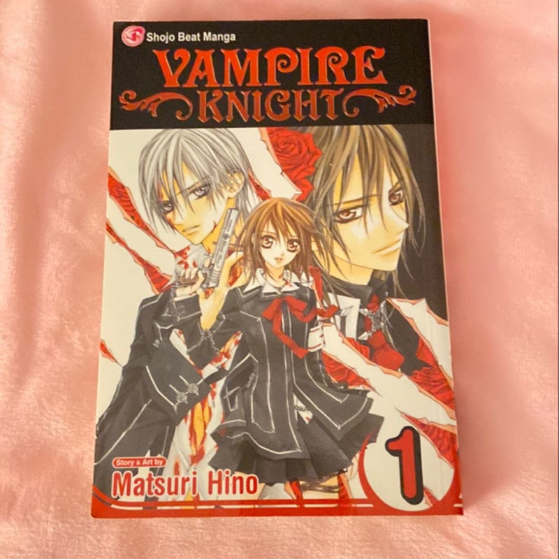 Vampire Knight Vol. 1