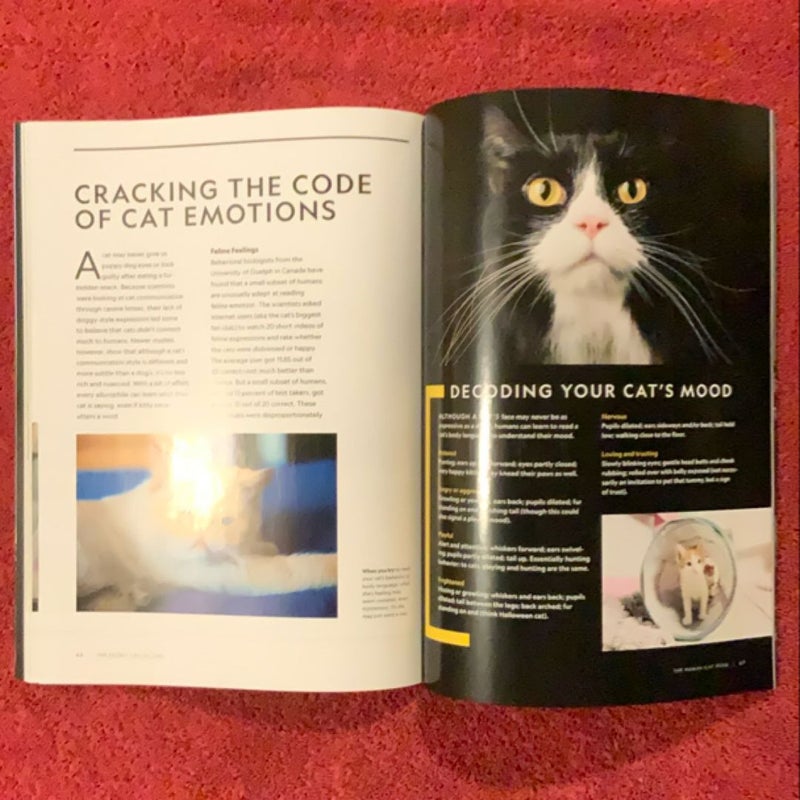 National Geographic The Secret Life of Cats