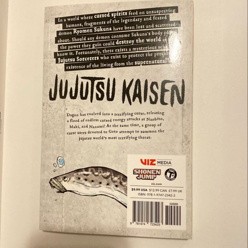 Jujutsu Kaisen, Vol. 13