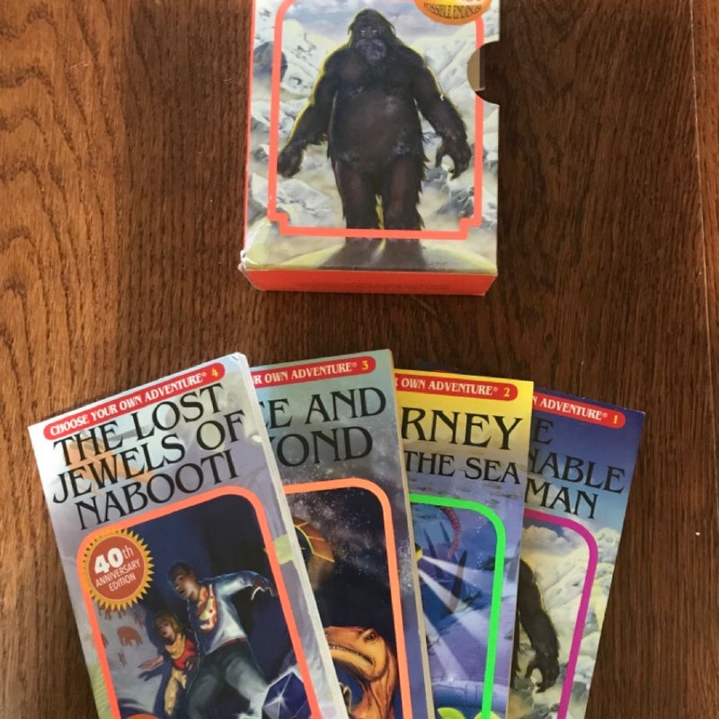 Boxed Set CHOOSE YOUR OWN ADVENTURE (#1-4) Paperback, VTG Middle Grade Fiction CYOA 