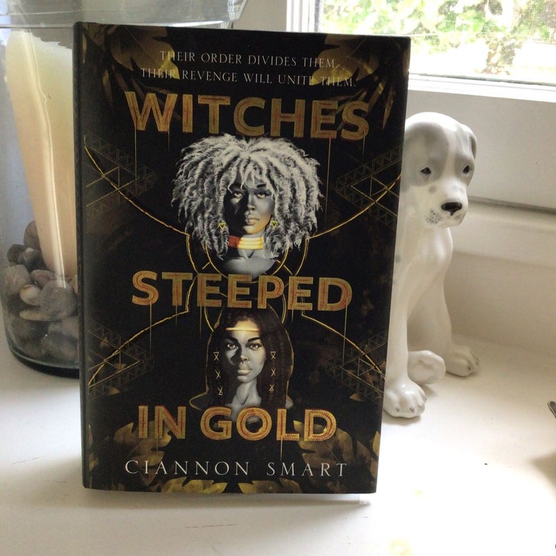 Witches Steeped In Gold (Owlcrate Edition)