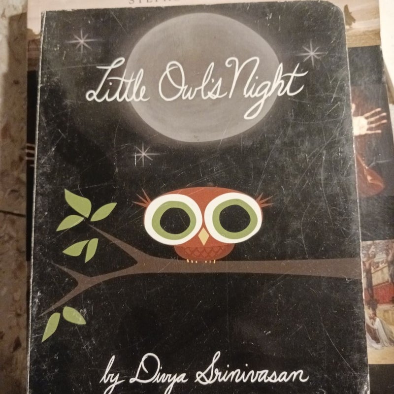 Little Owl's Night